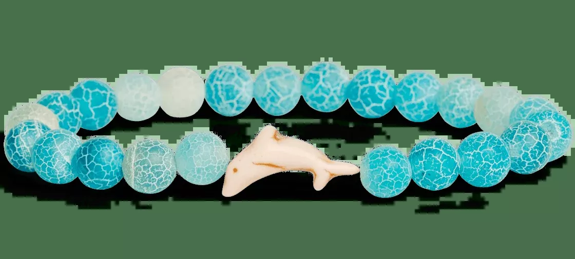 Aqua Blue Dolphin
