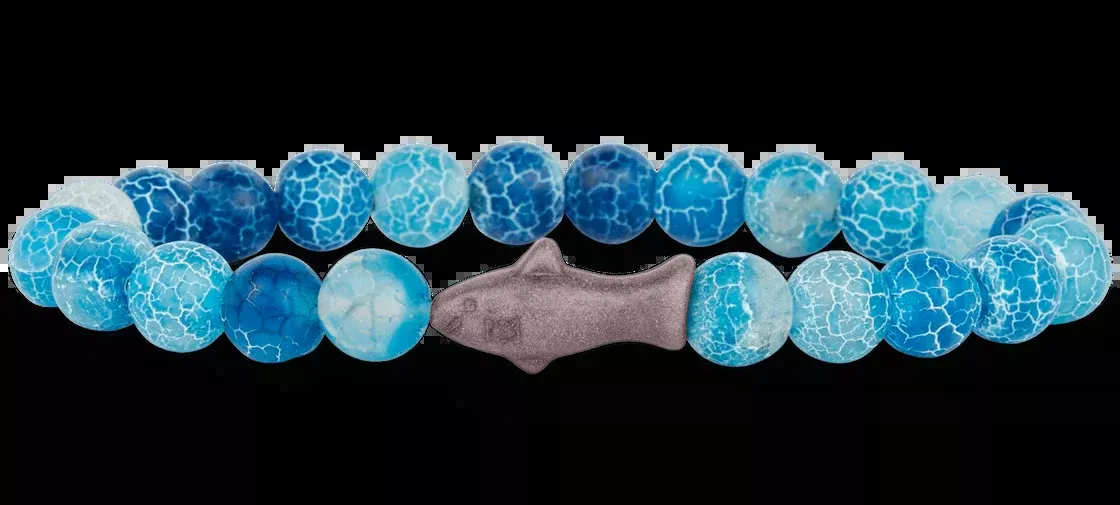 Aqua Blue Shark