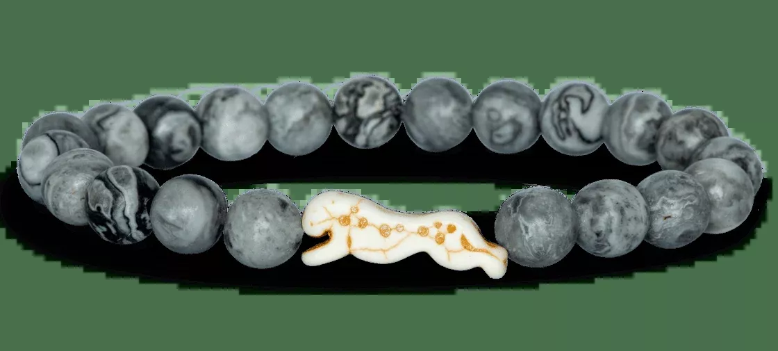 Fahlo Sprint Cheetah Tracking Bracelet: Cloudburst