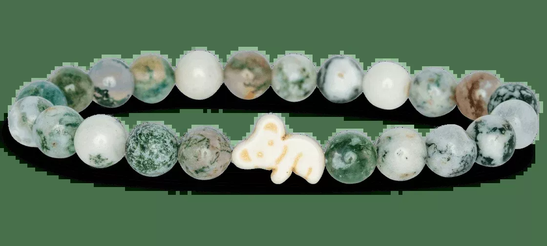 Koala Eucalyptus Green Bracelet