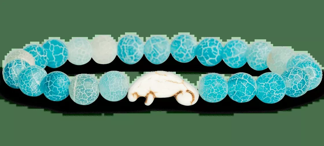 Manatee Aqua Blue