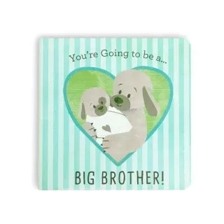 You're Going to be a... BIG BROTHER! Book