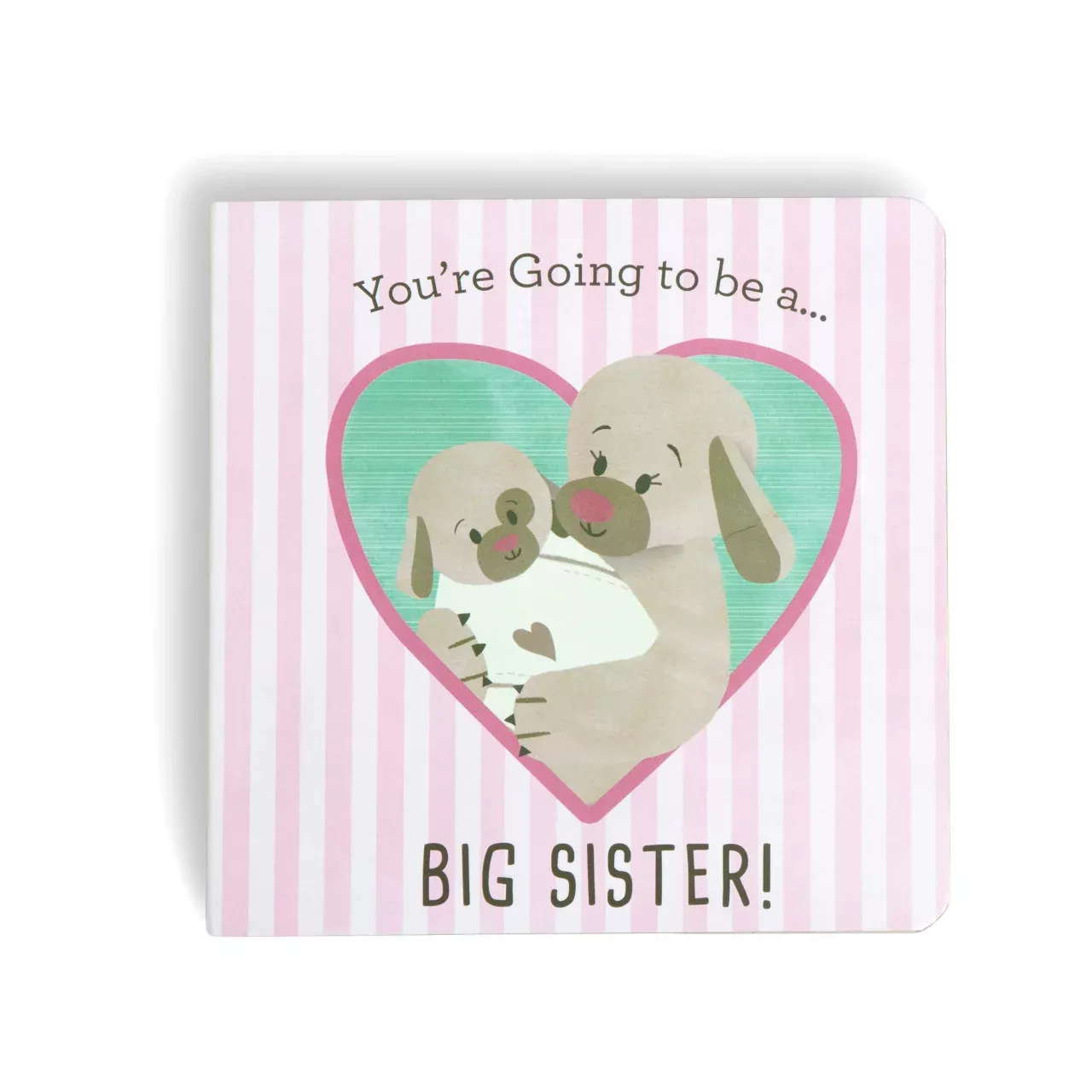 You're Going to be a... BIG SISTER! Book